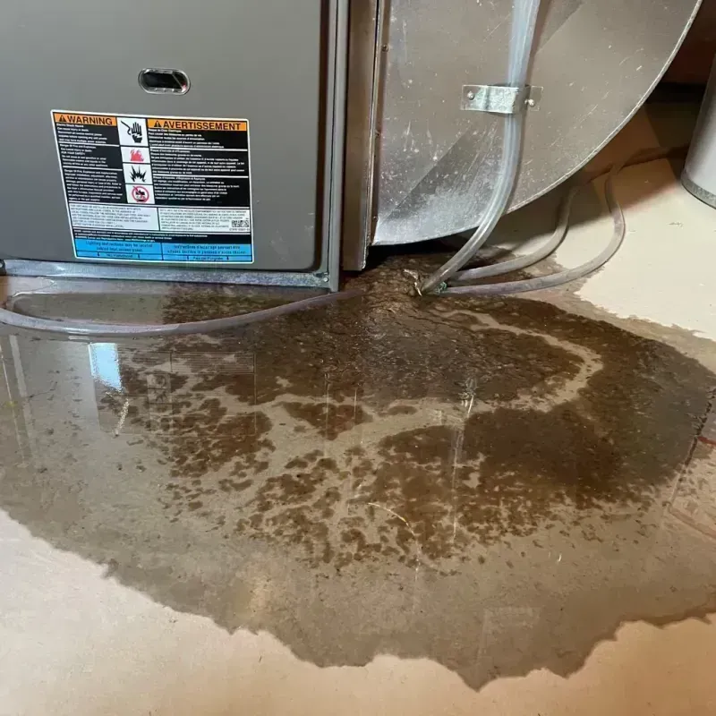 Appliance Leak Cleanup in Le Grand, CA